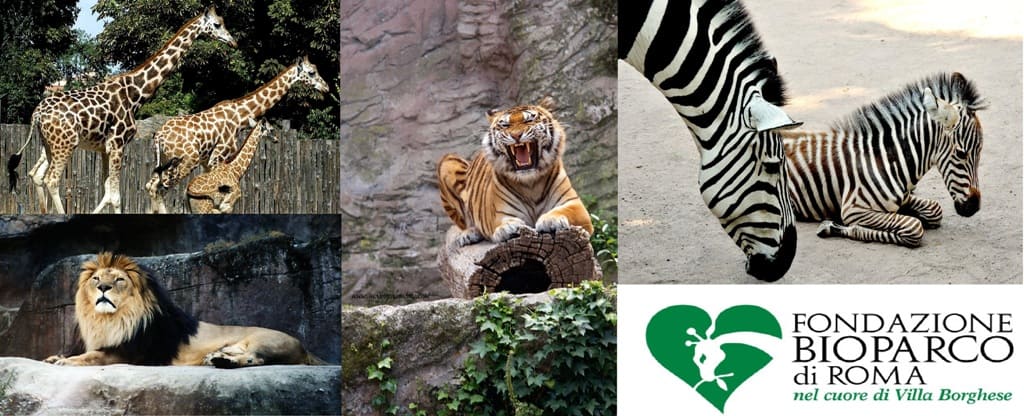 Bioparco di Roma